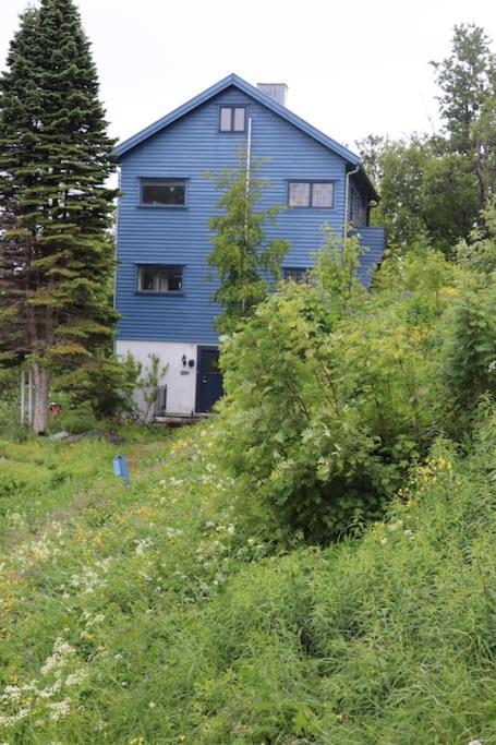 Villa Cozy Family House Tromsø Exterior foto